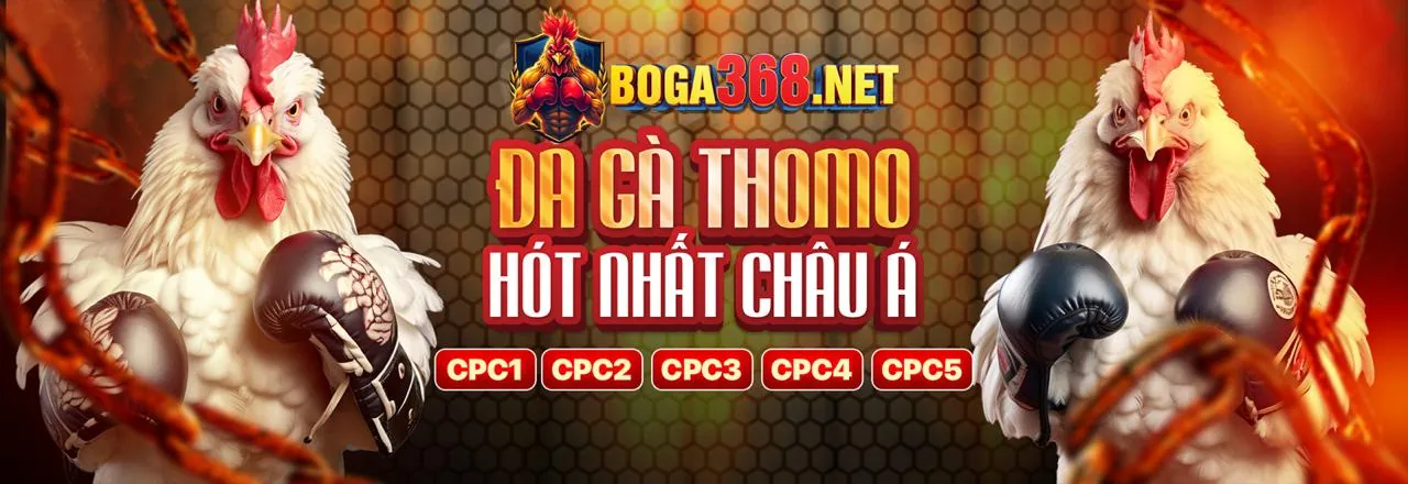 Hướng dẫn chơi bắn cá c33win trang chủ chính thức