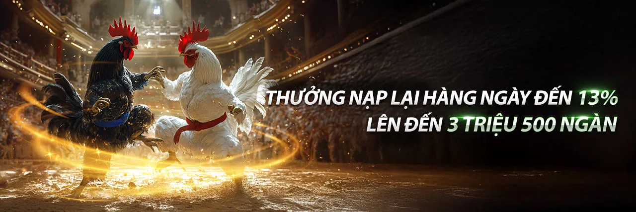 Chương trình VIP c33win