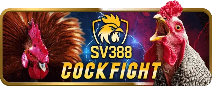 Khuyến mãi c33win thể thao